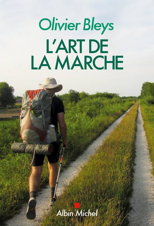 Couverture ebook de L'Art de la marche, de Olivier Bleys