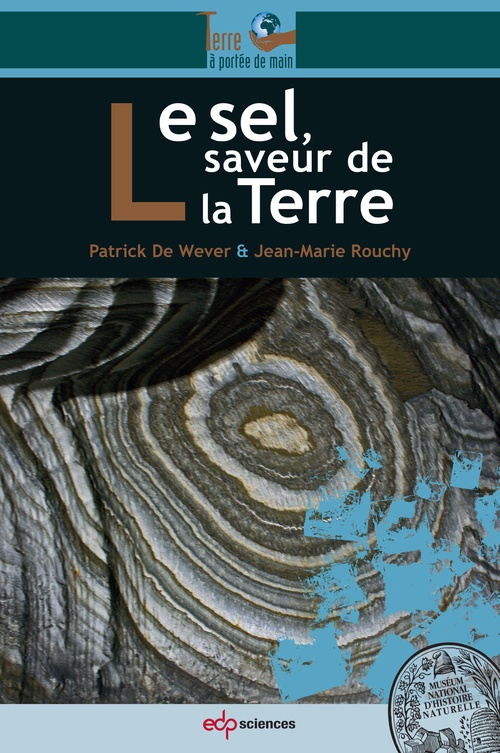 Couverture ebook de Le sel, saveur de la Terre, de Jean-marie Rouchy, Patrick De Wever