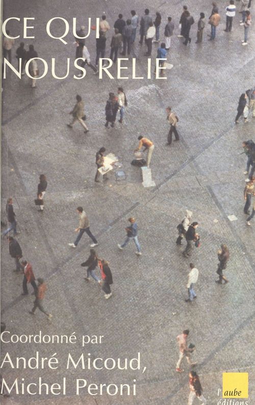 Couverture ebook de Ce qui nous relie, de Andre Micoud, Michel Peroni