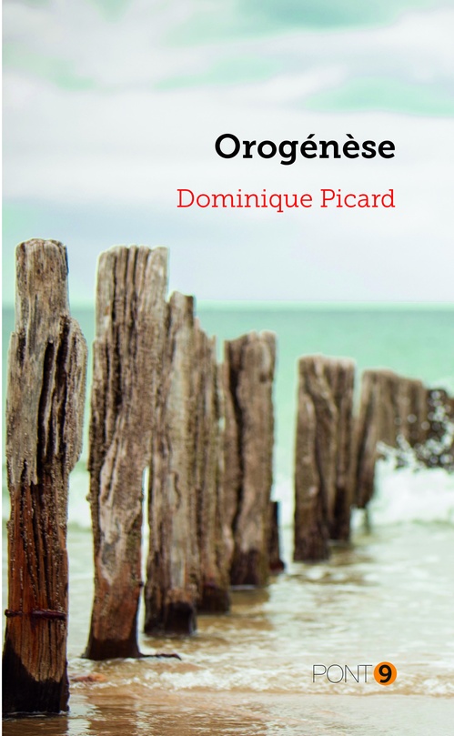 Couverture ebook de Orogénèse, de Dominique Picard