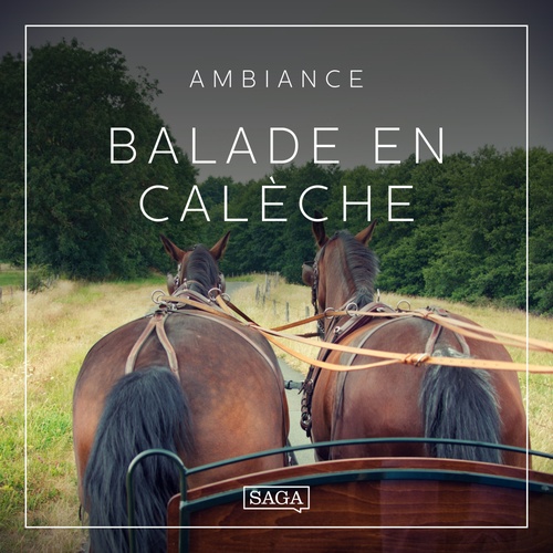 Couverture audiobook de Ambiance - Balade en calèche, de Rasmus Broe
