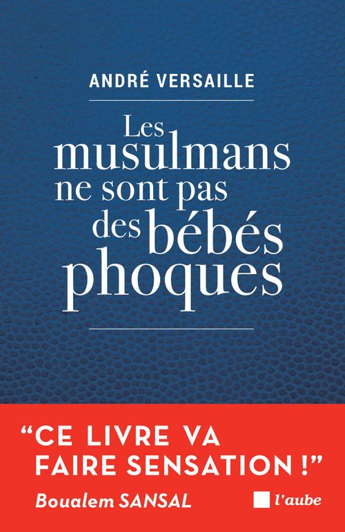 ebook cover of Les musulmans ne sont pas des bébés phoques, by André Versaille