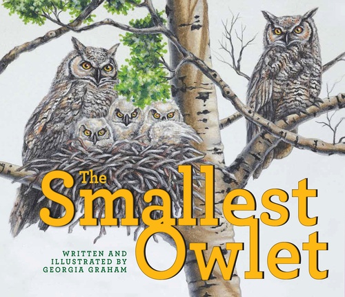 Couverture ebook de Smallest Owlet, de Georgia Graham