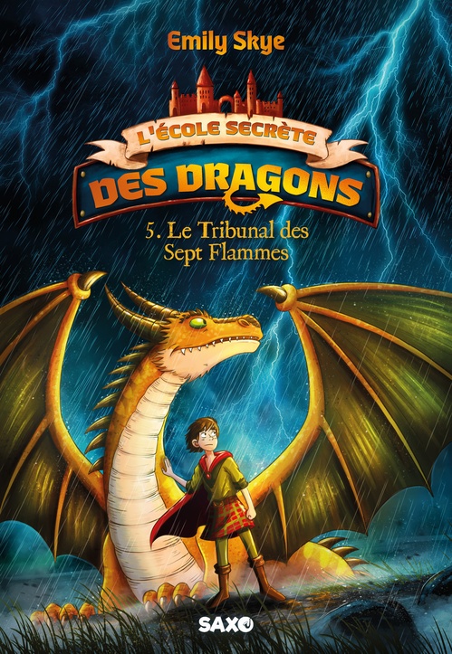 Couverture ebook de L'École secrète des dragons - Tome 05 Le Tribunal des Sept Flammes (e-book), de Emily Skye