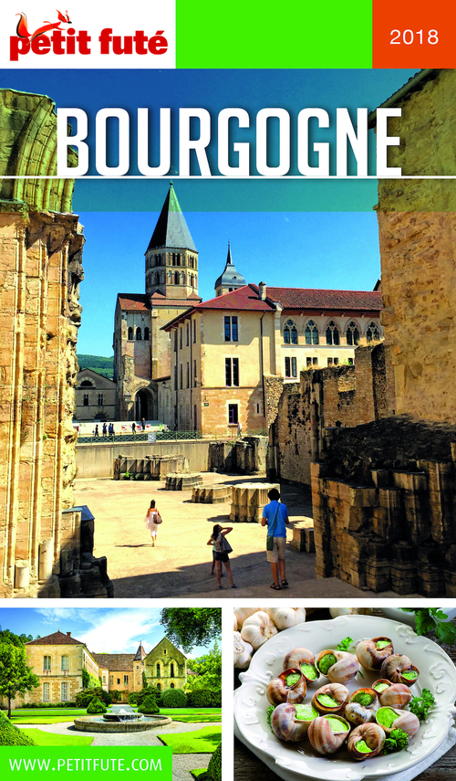 ebook cover of BOURGOGNE 2018/2019 Petit Futé, by Collectif petit futé