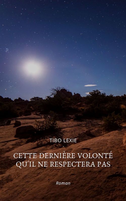 ebook cover of Cette dernière volonté qu'il ne respectera pas, by Lexie Tibo