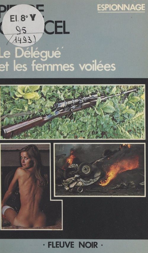 ebook cover of Le délégué et les femmes voilées, by Pierre Courcel