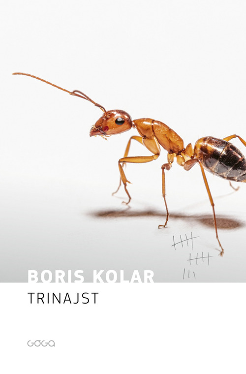 Couverture ebook de Trinajst, de Boris Kolar