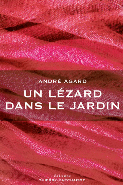 ebook cover of Un lézard dans le jardin, by André Agard