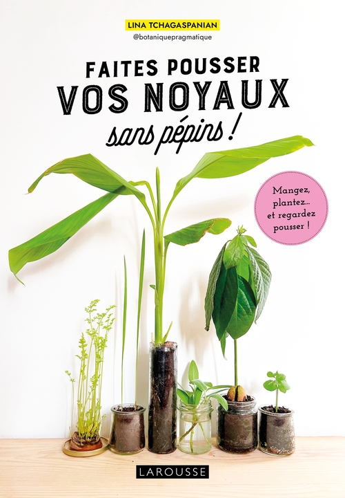 Couverture ebook de Faites pousser vos noyaux sans pépins !, de Lina Tchagaspanian