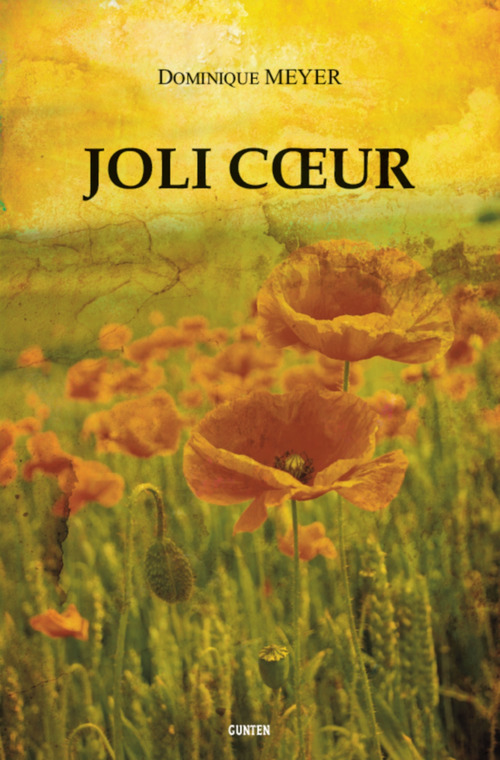 Couverture ebook de Joli Coeur, de Dominique Meyer