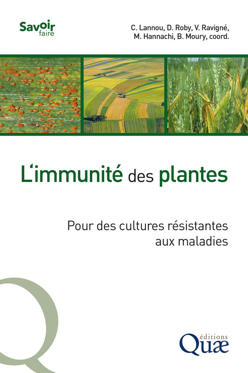 ebook cover of L'immunité des plantes, by Collectif, Christian Lannou, Dominique Roby, Virginie Ravigné, Mourad Hannachi, Benoît Moury