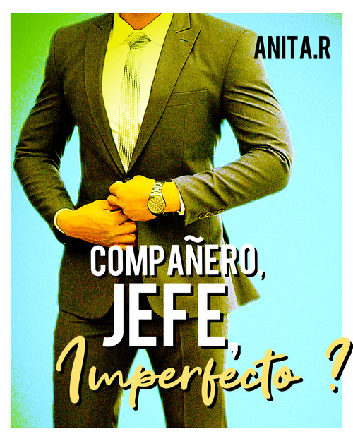 ebook cover of Campañero, Jefe, Imperfecto ?, by Anita.R