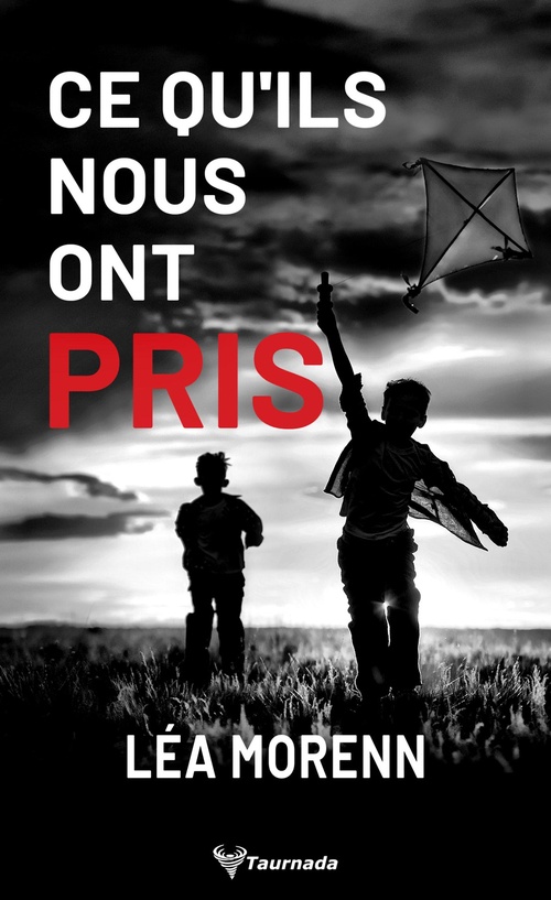 Couverture ebook de Ce qu'ils nous ont pris, de Léa Morenn