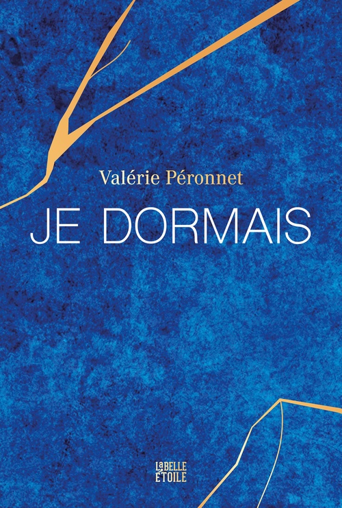 Couverture ebook de Je dormais, de Valérie Péronnet