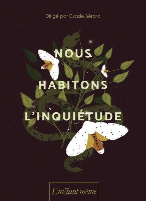 Couverture ebook de Nous habitons l'inquiétude, de Berard Cassie