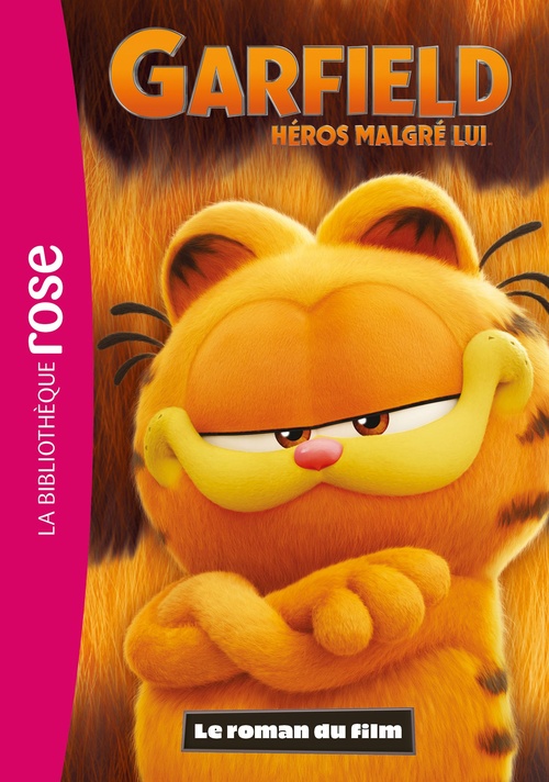 Couverture ebook de Garfield, héros malgré lui - Le roman du film, de Collectif