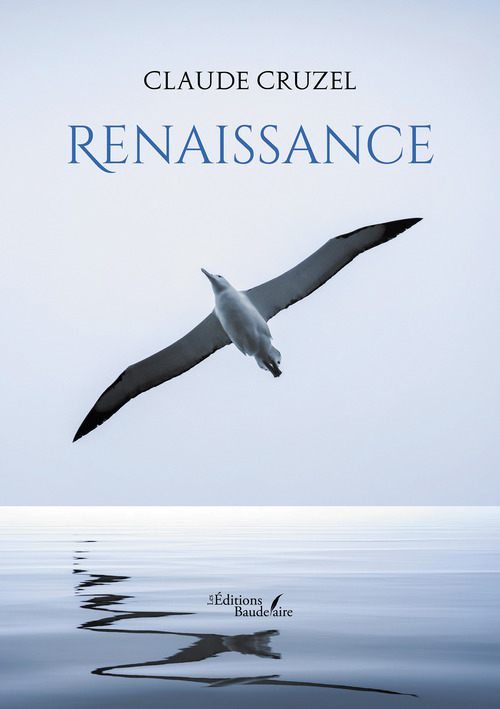 ebook cover of Renaissance, by Claude Cruzel
