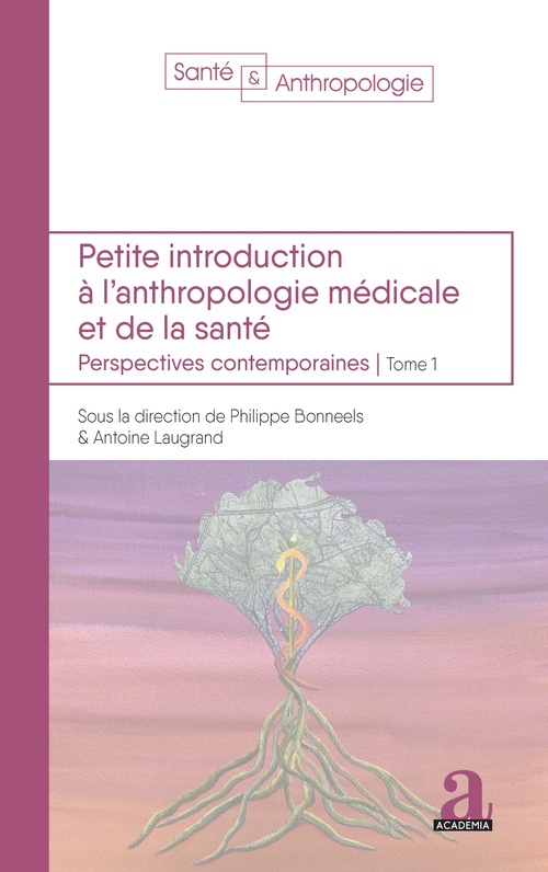 ebook cover of Petite introduction à l'anthropologie médicale et de la santé, by Antoine Laugrand, Philippe Bonneels