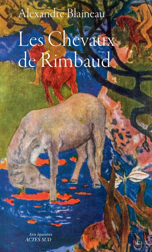 Couverture ebook de Les chevaux de Rimbaud, de Alexandre Blaineau