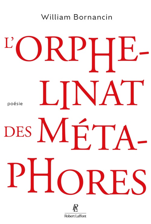 ebook cover of L'orphelinat des métaphores, by William Bornancin