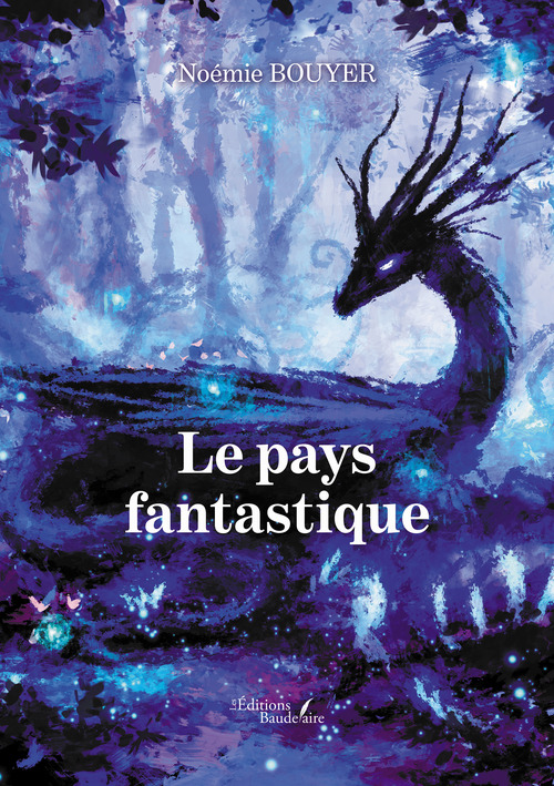 Couverture ebook de Le pays fantastique, de Noémie Bouyer