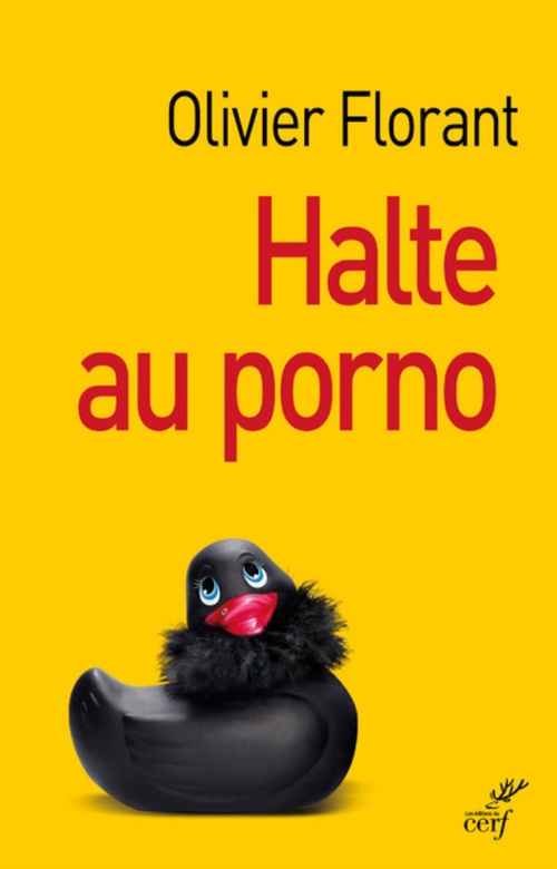 ebook cover of HALTE AU PORNO !, by Olivier Florant