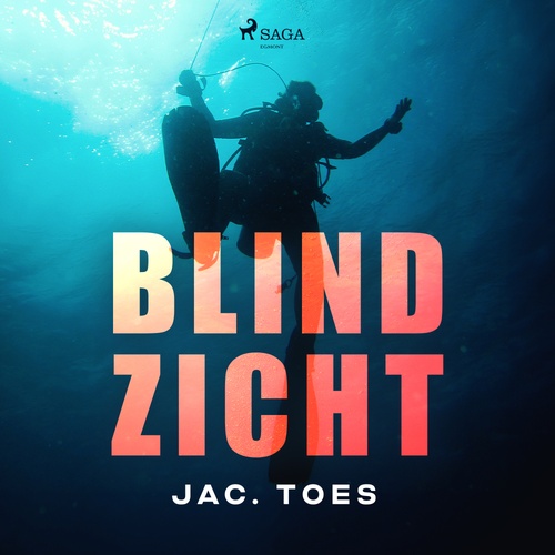 audiobook cover of Blind zicht, by Jac. Toes