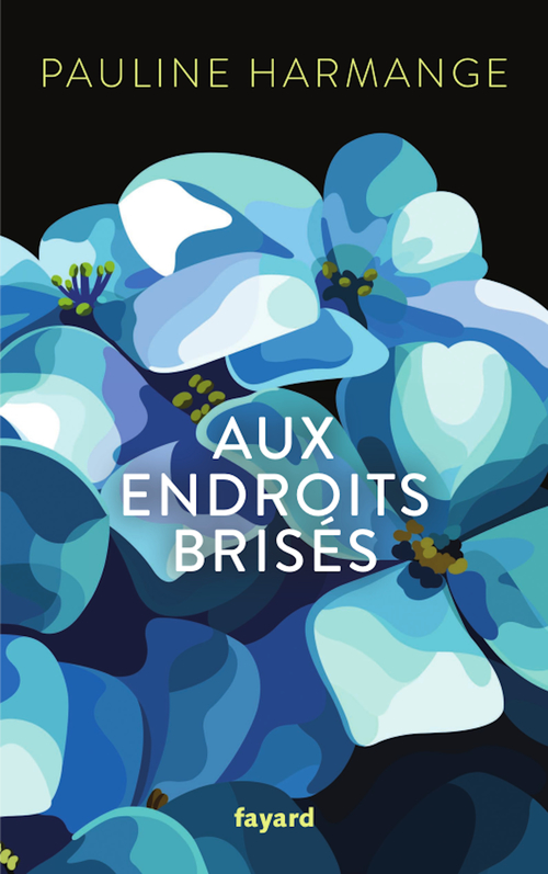 ebook cover of Aux endroits brisés, by Pauline Harmange