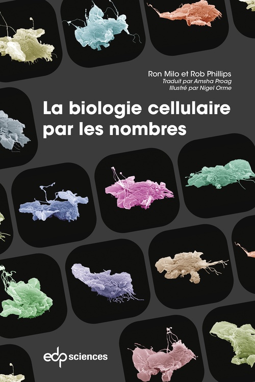 Couverture ebook de La biologie cellulaire par les nombres, de Ron Milo, Rob Phillips, Amsha Proag