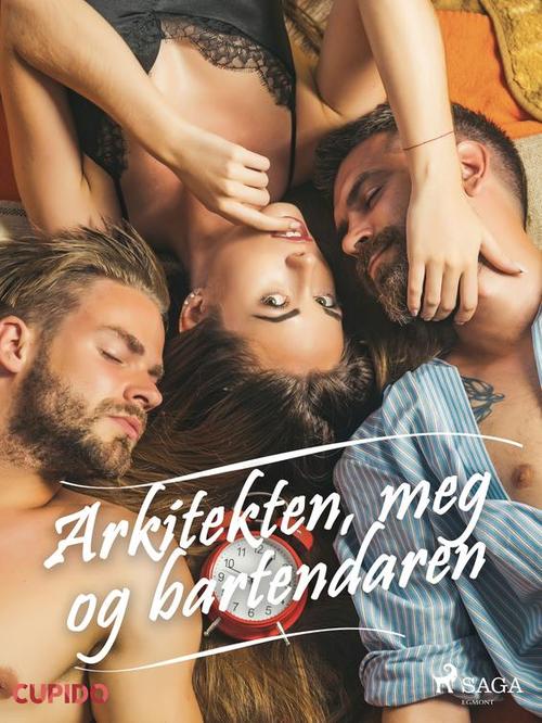 Couverture ebook de Arkitekten, meg og bartendaren, de - Cupido