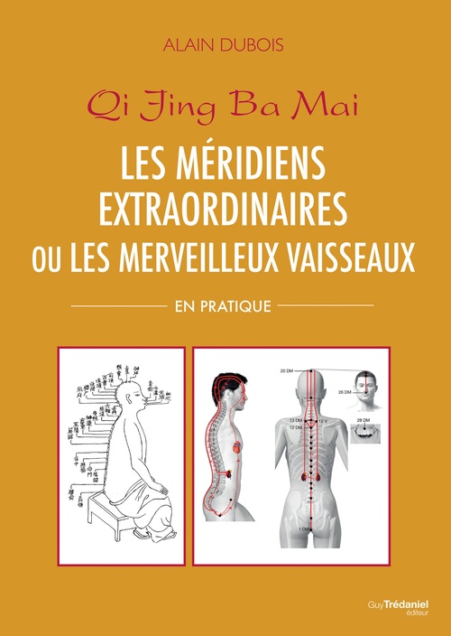 Couverture ebook de Les méridiens extraordinaires ou les merveilleux vaisseaux, de Alain Dubois