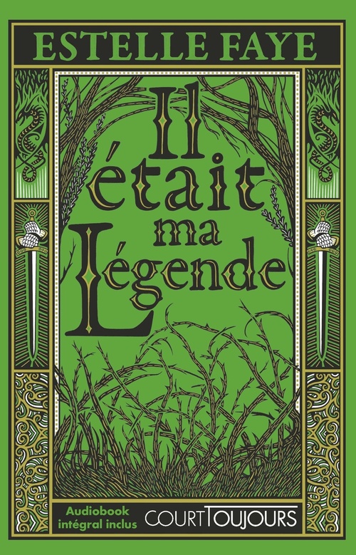Couverture ebook de Il était ma légende, de Estelle Faye