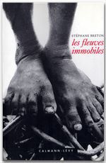 ebook cover of Les Fleuves immobiles, by Stéphane Breton