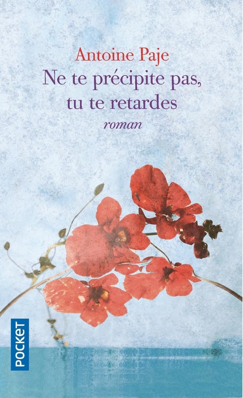 Couverture ebook de Ne te précipite pas, tu te retardes, de Antoine Paje