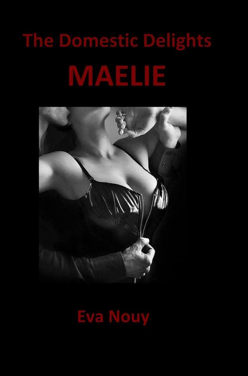 Couverture ebook de The domestic delights Maelie, de Eva Nouy