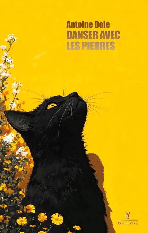 Couverture ebook de Danser avec les pierres, de Antoine Dole