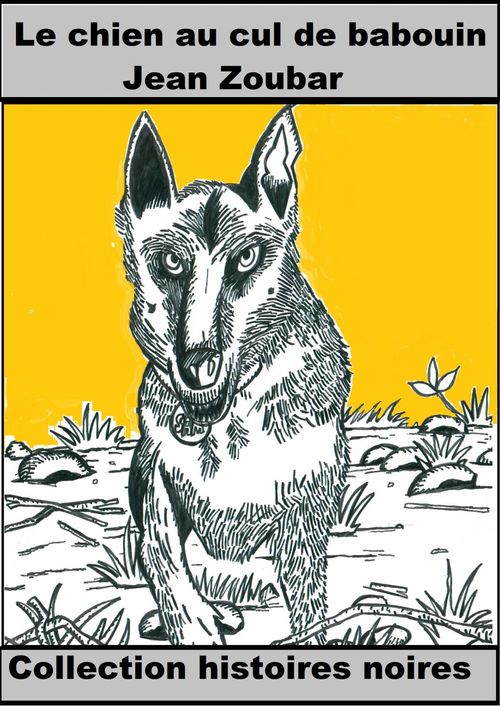 Couverture ebook de Sam, le chien au cul de babouin, de Jean Zoubar