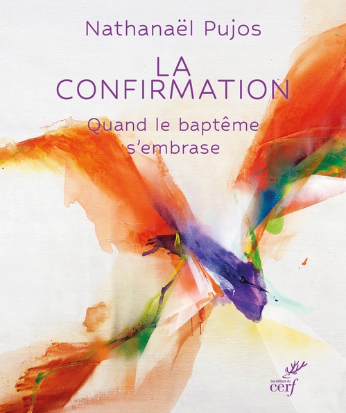 Couverture ebook de La confirmation, de PUJOS NATHANAEL