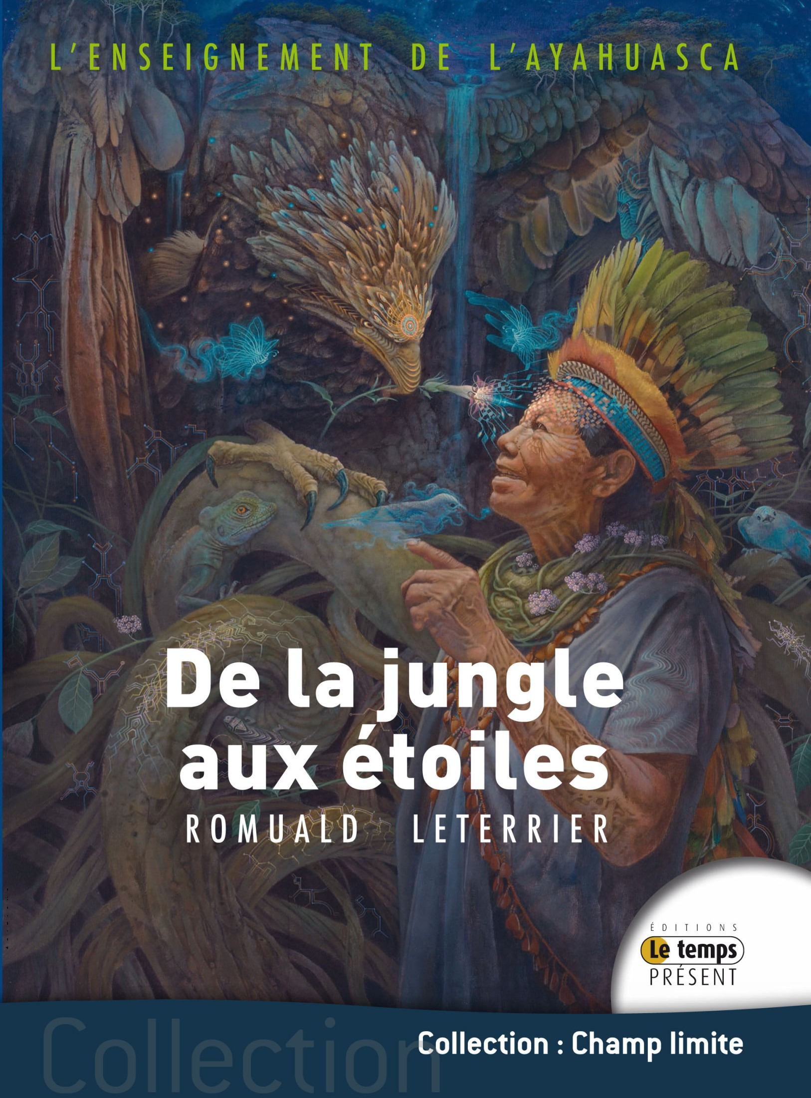 Couverture ebook de De la jungle aux étoiles, de Romuald Leterrier