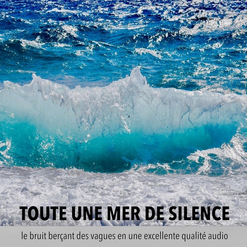 Couverture audiobook de Une mer de tranquillité, un océan de calme, toute une mer de silence, de Robert Van Dyck