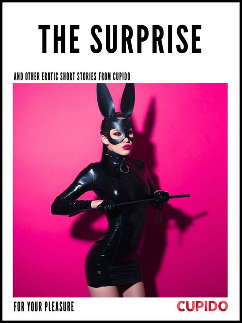 Couverture ebook de The Surprise - and other erotic short stories, de Cupido