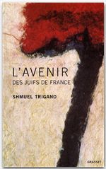 ebook cover of L'avenir des juifs de France, by Shmuel Trigano