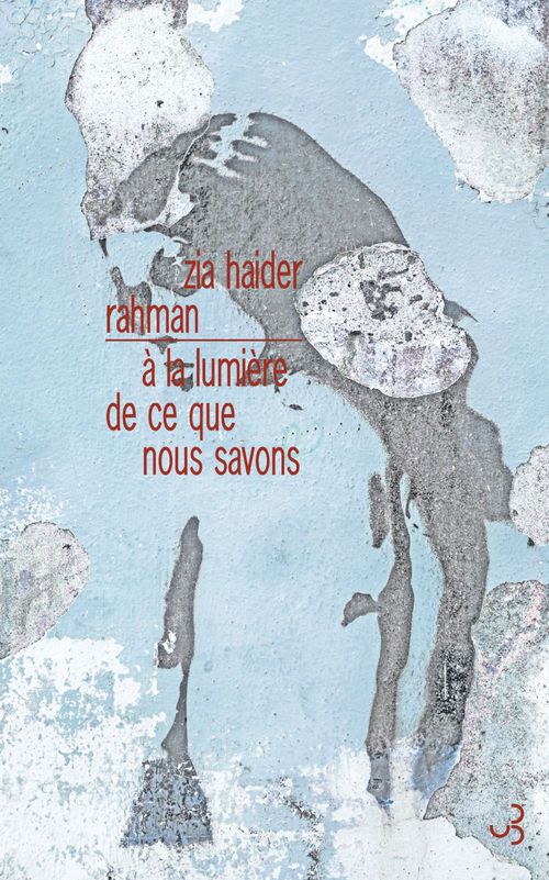 ebook cover of À la lumière de ce que nous savons, by Zia Haider Rahman