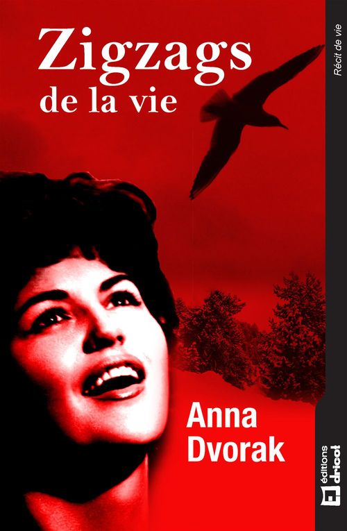 Couverture ebook de Zigzags de la vie, de Anna Dvorak