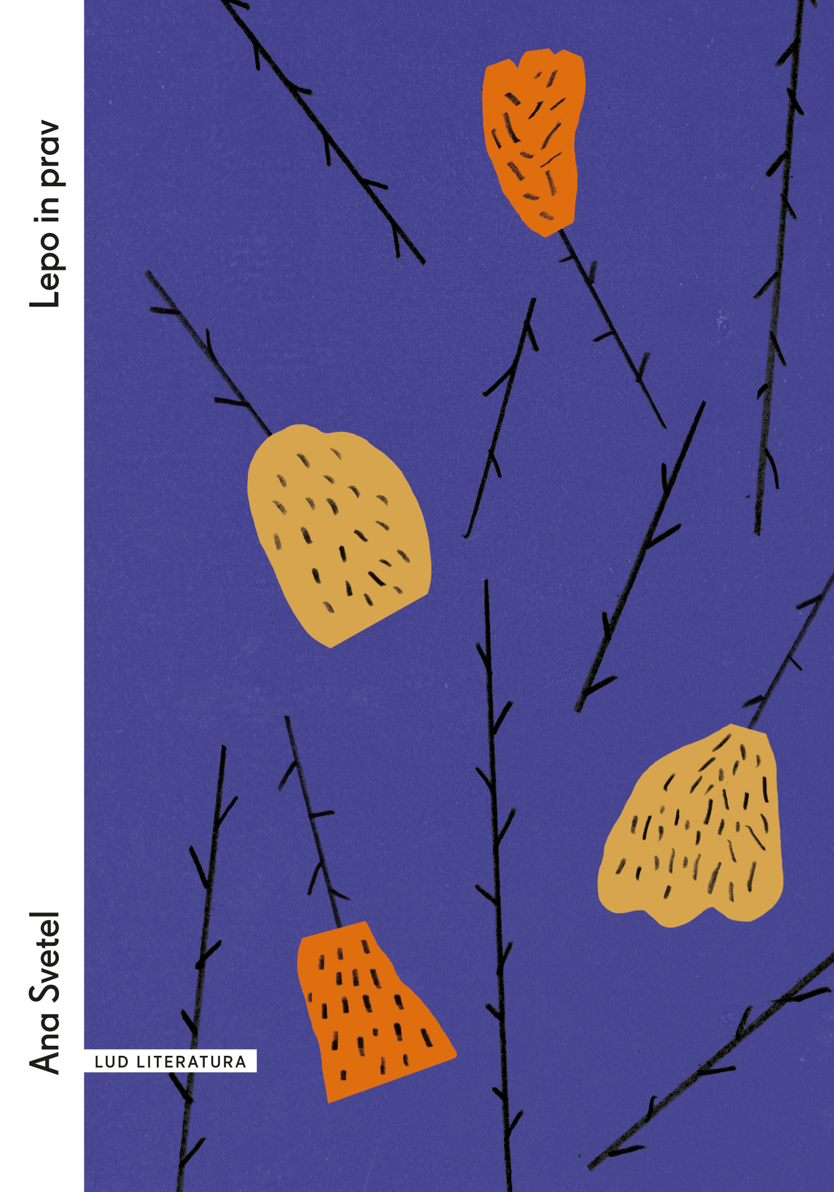 ebook cover of Lepo in prav, by Ana Svetel