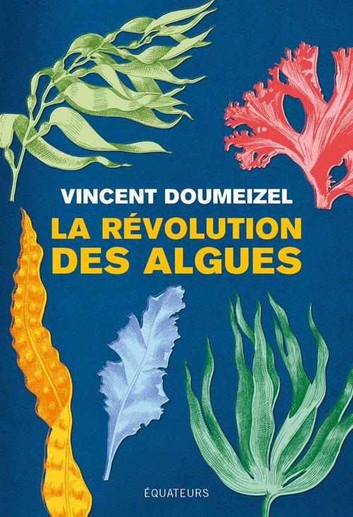 ebook cover of La révolution des algues : Nourrir, soigner, fabriquer, protéger l'environnement, by Vincent Doumeizel
