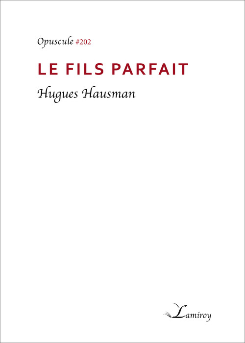 ebook cover of Le fils parfait, by Hugues Hausman