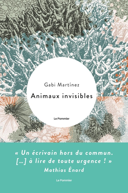 ebook cover of Animaux invisibles, by Gabi Martínez