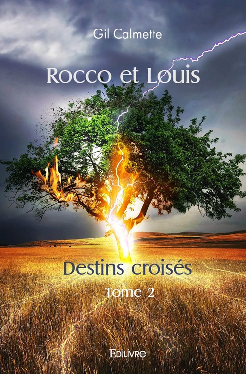Couverture ebook de Rocco et Louis - Destins croisés - Tome 2, de Gil Calmette